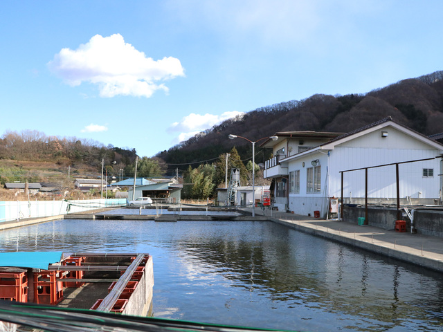 元田養鱒場