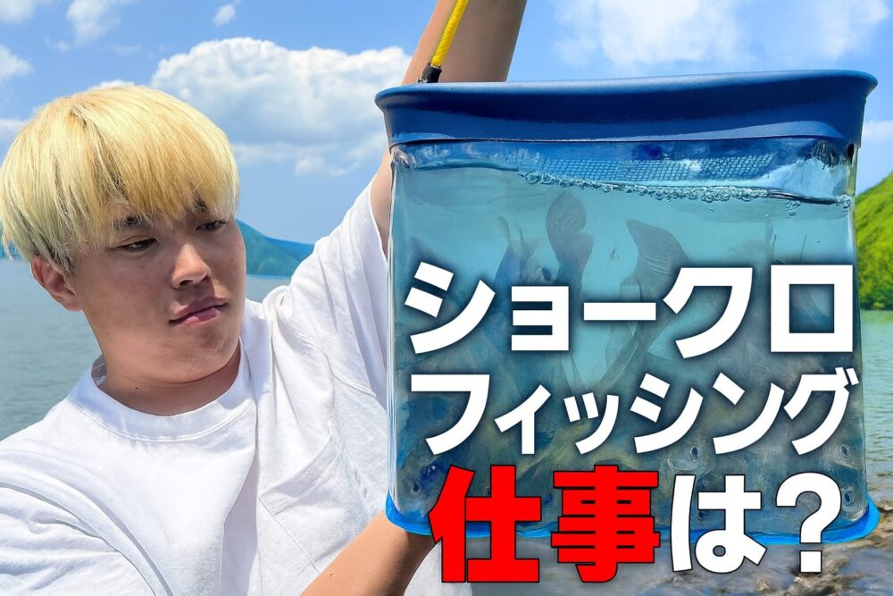 ショークローフィッシング 収益