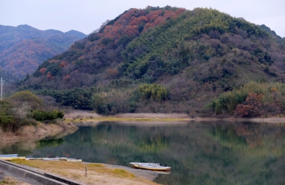 桜池管理釣場